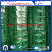 Euro Fence/PVC-Coated Euro Mesh Fence